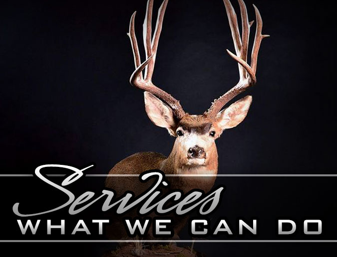 Non Typical Taxidermy Services