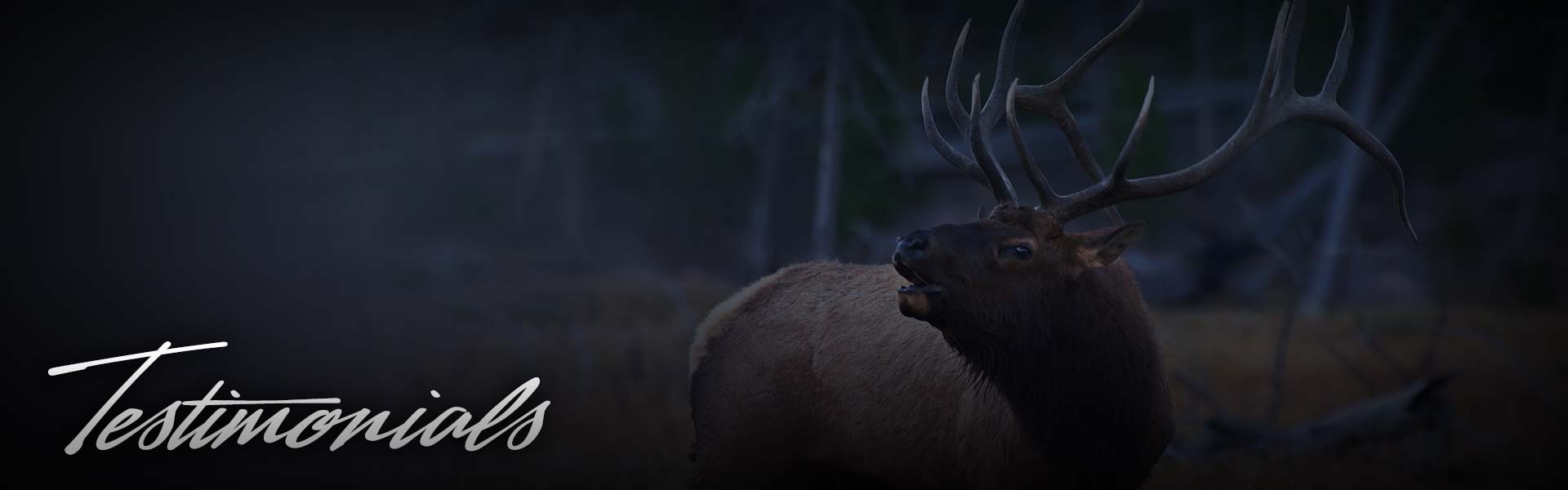 Non Typical Taxidermy - Testimonials