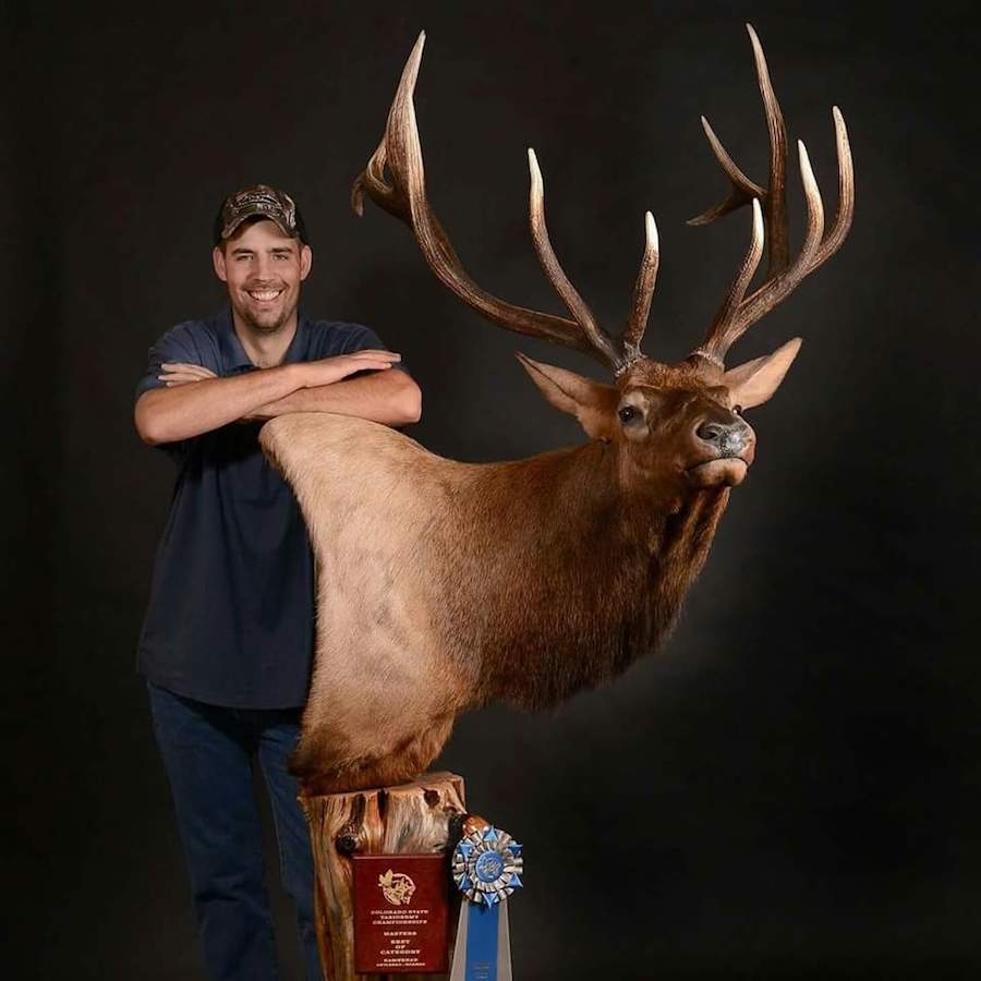 Your Number One Taxidermy Choice